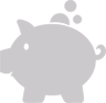 grey piggy bank icon